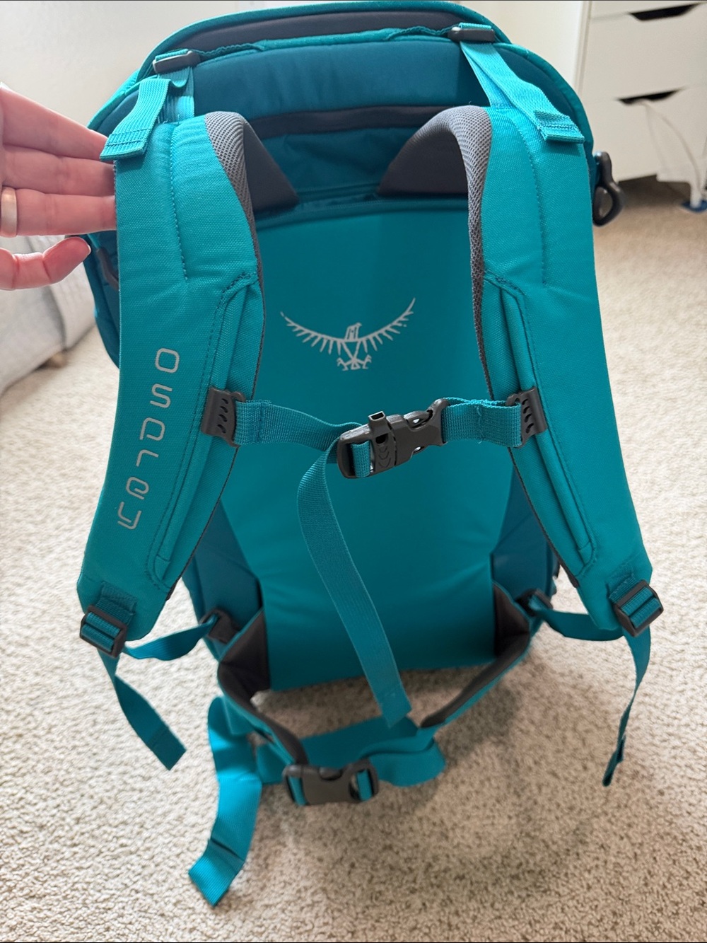 NWT OSPREY porter 46 Teal Travel Backpack - Picture 13 of 17